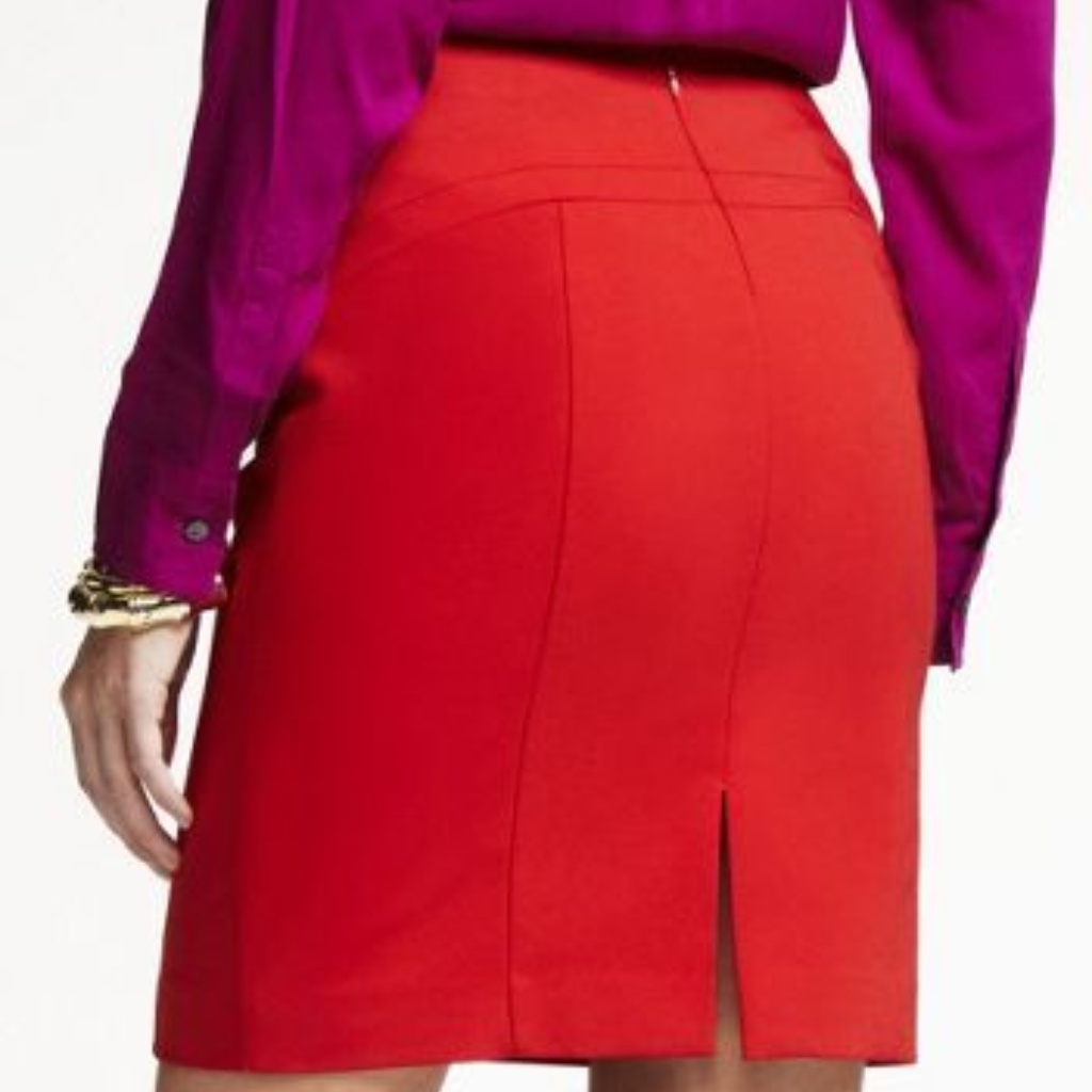 Express Red Pencil Skirt